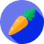 Carrot icon 64x64