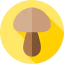 Mushroom icon 64x64