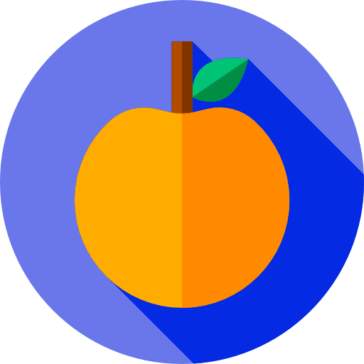 Orange icon