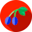 Оливковое иконка 64x64