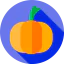 Pumpkin biểu tượng 64x64