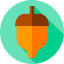 Acorn icon 64x64