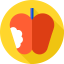 Apple icon 64x64