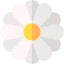 Flower іконка 64x64