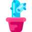Cactus icon 64x64