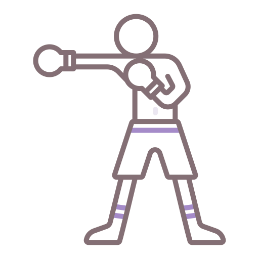Boxing icon