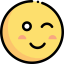 Wink icon 64x64