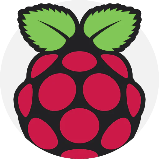 Raspberry pi icon