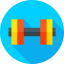 Dumbbell icon 64x64