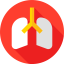 Lungs ícono 64x64