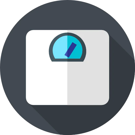 Scale icon