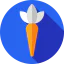Carrot icon 64x64