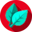 Herbs 상 64x64