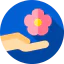 Flower іконка 64x64