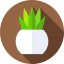Plant icon 64x64