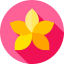 Orchid icon 64x64