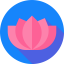 Lotus icon 64x64