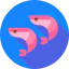 Shrimp 상 64x64