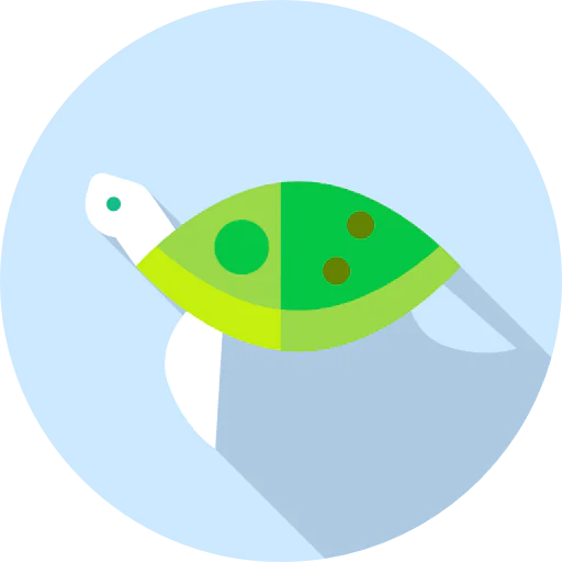 Turtle icon