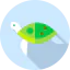 Turtle icône 64x64