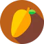 Mango icon 64x64