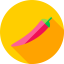 Spice icon 64x64