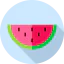 Watermelon Ikona 64x64