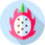 Dragon fruit アイコン 64x64