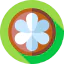 Mangosteen icon 64x64