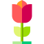 Flower іконка 64x64