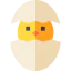 Chick biểu tượng 64x64