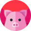 Pig ícone 64x64