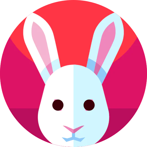 Rabbit icon