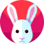 Rabbit ícone 64x64