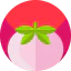Peach ícone 64x64
