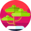 Bonsai ícone 64x64