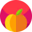Orange ícone 64x64