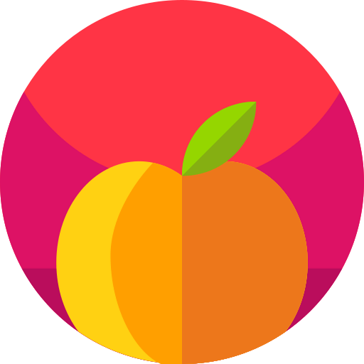 Orange icon