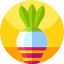 Radish ícone 64x64