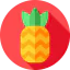 Pineapple ícono 64x64