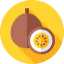 Passion fruit Ikona 64x64
