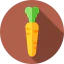 Carrot icon 64x64
