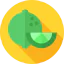 Lime icon 64x64
