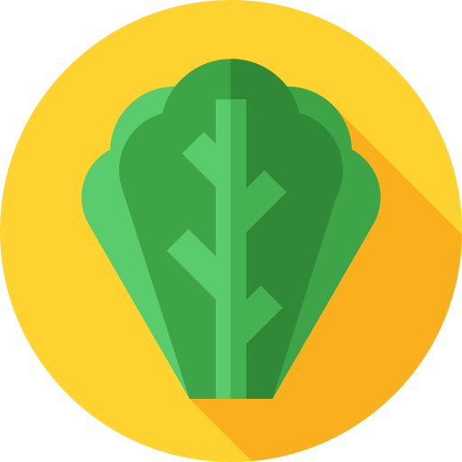 Cabbage icon