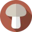 Mushroom icon 64x64