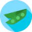 Peas Symbol 64x64