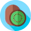Kiwi icon 64x64
