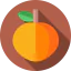 Apricot icon 64x64