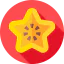 Star fruit icon 64x64