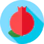 Pomegranate icon 64x64